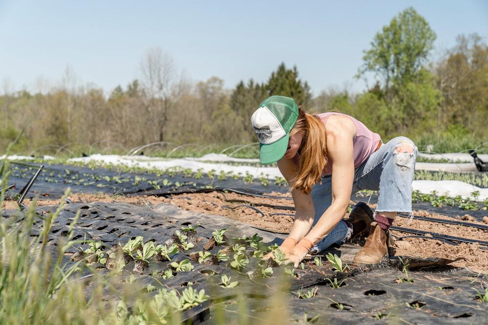 Becoming a farmhand is one of the best jobs for minimalists