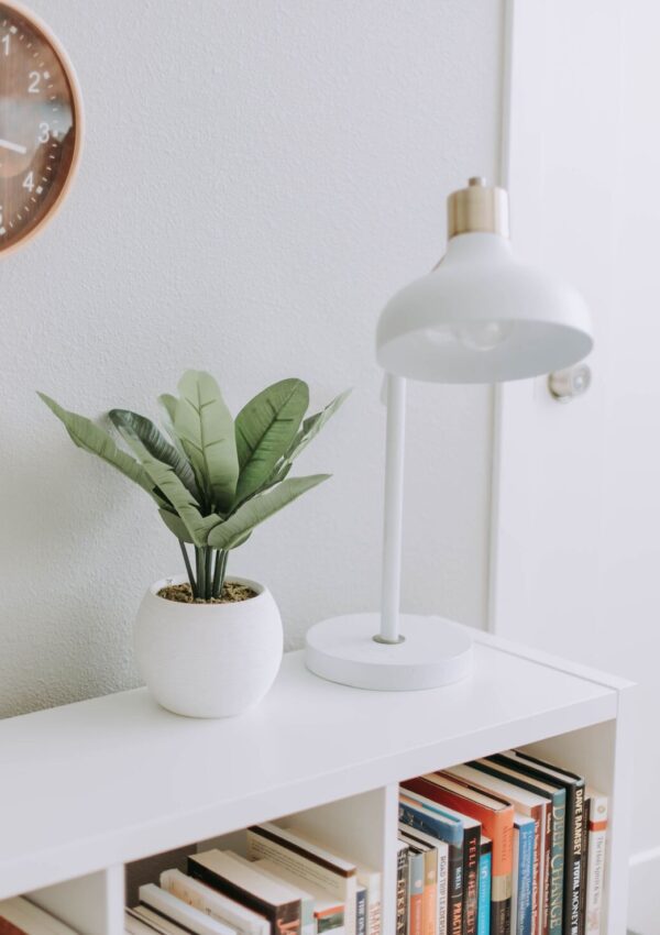 minimalist bookshelf in a minimalist home