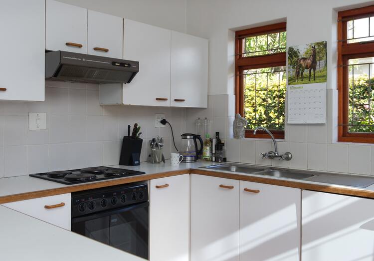 An image of a minimalist kitchen 
