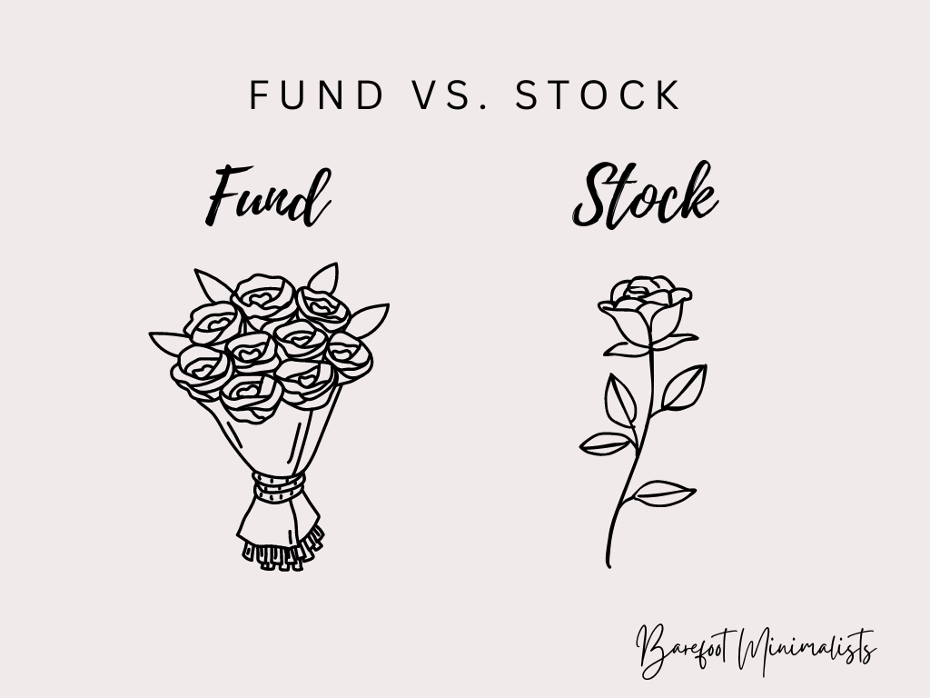 Visual representation comparing a fund to a stock: A bouquet of flowers elegantly symbolizes 'fund,' while a single flower represents 'stock,' creating a visually engaging metaphor for financial diversity.